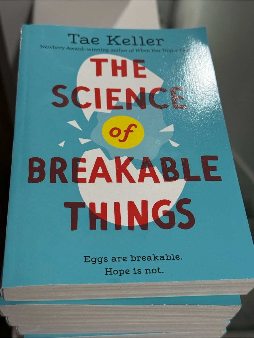 Tae Keller The Science of Breakable Things 2019 Digest Paperback 12 Books New
